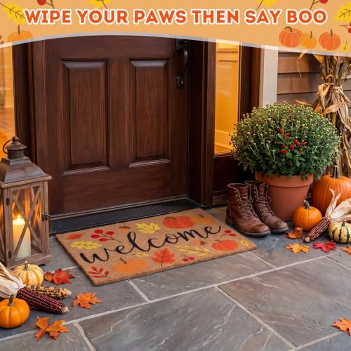 Fall Pumpkin Welcome Doormat, 16.5x30in Faux Coir Welcome Door Mat | Non Slip Backing, Washable and Reusable, Quick Drying, Indoor Outdoor Porch Use, Autumn Thanksgiving Decor, Housewarming Gift - style: Autumn Theme