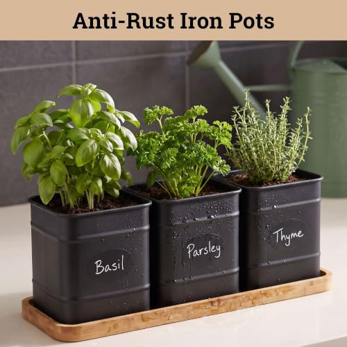 Herb Planter Indoor, 3-pc Herb Pots w/ Drainage Holes, Bamboo Tray & Labels | Iron Herb Pots, Varnished Bamboo Tray with Anti-Skid Base, Customizable Oval Sticker and Stick Labels & Chalkboard Marker Pen - color: Black