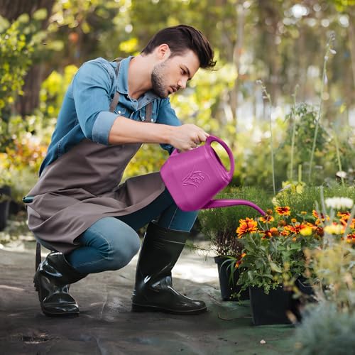 Plant Watering Can - 1/2 Gallon - Rose Red | With Long Spout for Watering-Home Indoor and Outdoor Garden - color: Rose Red