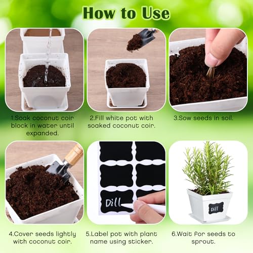 Ripeng 10 Set Indoor Herb Garden Starter Kit, Herb Growing Kit with Pots, Nutritional Soil, Plant Markers, Kitchen Window Planter, Gardening Gift for Women Men Indoor Outdoor