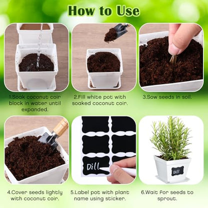 Ripeng 10 Set Indoor Herb Garden Starter Kit, Herb Growing Kit with Pots, Nutritional Soil, Plant Markers, Kitchen Window Planter, Gardening Gift for Women Men Indoor Outdoor