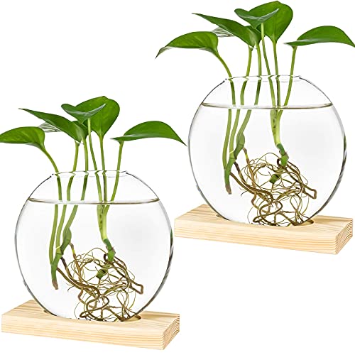 Kingbuy Round Glass Desktop Planter with Wooden Stand - Propagation Vase for Hydroponic Plants, Spider Plants, Pothos in Home Office Decor, 2-Pack, Beige - color: Beige