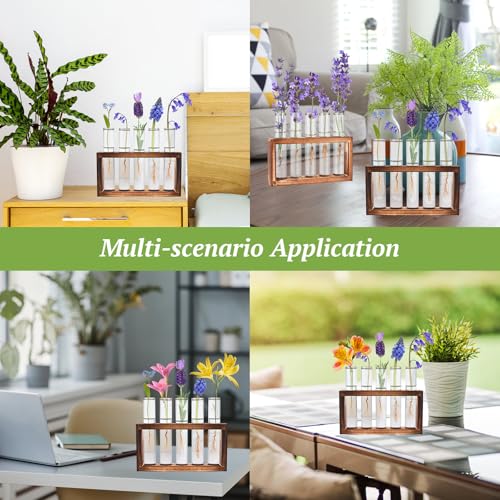 Tigvio 2pcs Desktop Glass Plant Propagation Station (10 Tubes) | with 10 Test Tubes in Wooden Stand, Hydroponic Plants Cutting Office Home Decoration and Garden Decor Terrarium - size: 10 Tubes