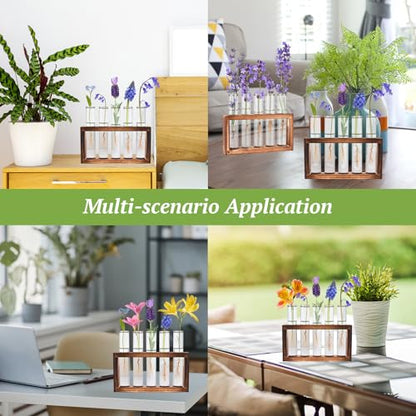 Tigvio 2pcs Desktop Glass Plant Propagation Station (10 Tubes) | with 10 Test Tubes in Wooden Stand, Hydroponic Plants Cutting Office Home Decoration and Garden Decor Terrarium - size: 10 Tubes