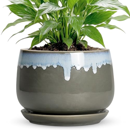 Ceramic Planter, 7 Inch Flower Pots for Indoor Plants, Grey-Blue | Decorative Flower Pots with Drainage Hole and Saucer, Round Indoor Plant Pot, Bookshelf Decor, Gardening Gifts for Women - size: 7 Inch, style: Grey-blue