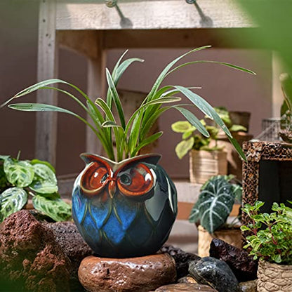 GeLive Blue Owl Ceramic Succulent Planter with Drainage Hole Animal Plant Pot Tabletop Decoration Vase Window Box Indoor Outdoor Decor (Blue) - size: 5.1" Blue