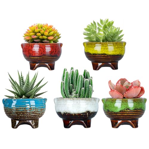 Succulent Pots, 4 Inch Small Ceramic Pots for Indoor Plants | Ceramic Planters Set of 5, Glazed Cactus Flower Plant Pot, Home Office Decor - color: 4" (5pcs)