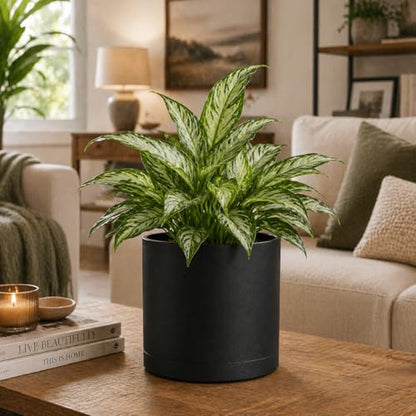 Giraffe Creation 14 Inch Cylinder Plant Pot, Modern Round Planter with Drainage Holes and Saucer, Durable Plastic Flower Pot for Indoor Outdoor Plants, Black - color: Black 14 Inch