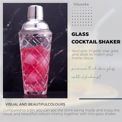 Cocktail Shaker Set, 14.2oz Glass Martini Shaker with Strainer - Includes Measuring Jigger, Mixing Spoon and Muddler - Perfect for Making Cocktails and Protein Shakes (Silver) - color: Silver Set