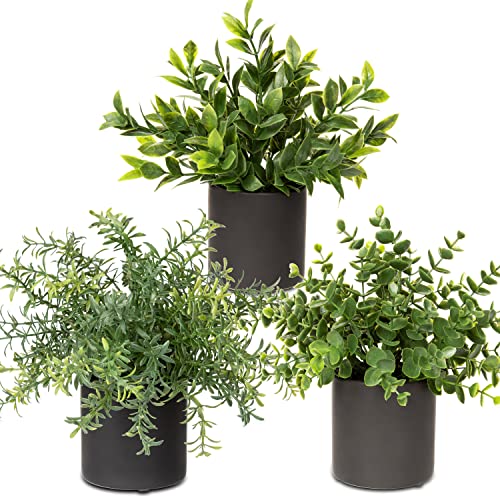 3 Pack Small Fake Plants for Shelf Decor Accents with Ceramic Pot Artificial Potted Plants for Rustic Farmhouse Decor Faux Plants Indoor Fake Potted Plants Artificial for Home Office Bookshelf Decor - color: Ceramic Pot #02