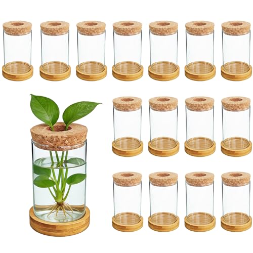 16 Pcs Propagation Vases with Bamboo Stand and Hole Lid, Glass Plant Propagation for Plants Water Hydroponic Desktop Office Home Vase Decoration(Classic Style)