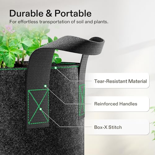 VIVOSUN 5-Pack 1 Gallon Plant Grow Bags Fabric Pots with Handles | 300G Thickened Nonwoven Fabric, Excellent Drainage, Healthy Root Growth, BPA-Free, Reusable - color: Black, size: 1 Gallon