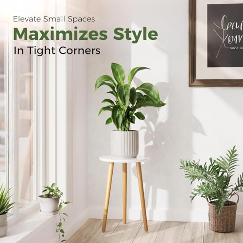 Leaf&lull Tall Plant Stand Indoor Small Plant Table | Wood Plant Stool for Large Plant, Plant Holder for Living Room Bedroom Balcony White - color: white tall