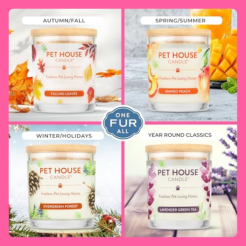 Pet House Candles, Clean Burning, Long Lasting Pet Odor Candles, Plant-Based, 60 Hour Burn Time - Tropical Fruit, 9 oz, 2 Pack - color: Tropical Fruit, size: Pack of 2