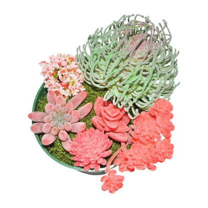 7PCS Flocked Artificial Succulents Set Faux Succulent Plants with Fake Christmas Tree Moss Artificial Cactus Greenery Low Maintenance Fake Plants DIY Craft Home Office Christmas Table (Pink) - color: Pink