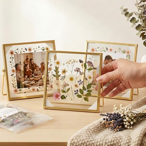 3 Pcs 6 x 6 Picture Frame with Gold Edge, Double Glass Pressed Flower Frame | Fits 4 Inch Picutre, Floating Glass Picture Frame for Dried Flowers, Plant Specimen, Photos, Postcard