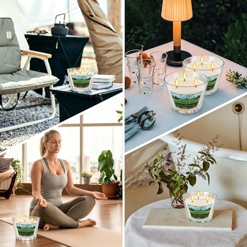 2 Pack 3-Wick Glass Cup Citronella Candles(14oz), Natural Soy Wax Clean Burning & Smokeless,citronella Scented Candle & Outdoor Candle,Camping Bar Counter Yard, Summer Gift. - color: 2Pack1-3WickClear cup