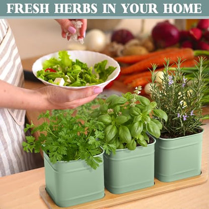 LemonRoad 6 Pcs Indoor Herb Planter Window Herb Pots for Kitchen with Drainage Hole and Bamboo Tray Farmhouse Metal Garden Planter Pot with DIY Label Mom Plant Gift(Sage Green,Square) - color: Sage Green