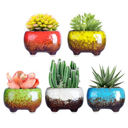 ARTKETTY Succulent Pots, 4.7 Inch Small Plant Pots with Drainage Pack of 5 | Ceramic Planters for Indoor Cactus Plants Glazed Flower Plant Container - color: 4.7"-rectangular(5pcs)