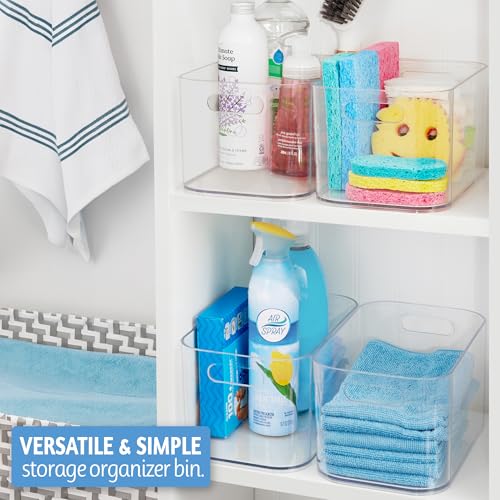 STORi Bliss 10" x 6" Open Clear Pantry Organizer Bin, Plastic Containers with Handle for Kitchen, Fridge, Cabinet, Closet, Bathrom, Undersink Storage Made in USA - style: Set of 1