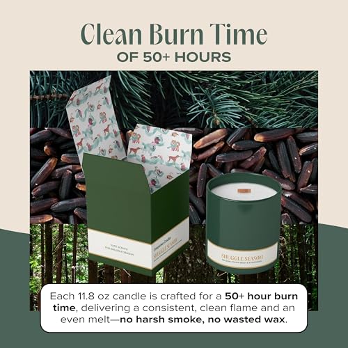 Snuggle Season Pet-Friendly Scented Candle – Balsam, Tonka Bean & Evergreen Fragrance - Coconut Soy Wax Candle with Wooden Wick, Approx. 50-Hour Burn Time, Made in USA, 11.8 oz - color: Snuggle Season