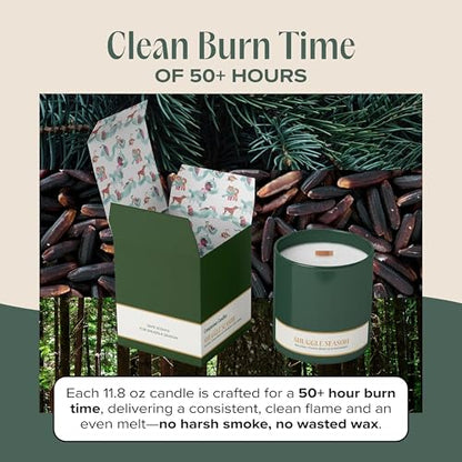 Snuggle Season Pet-Friendly Scented Candle – Balsam, Tonka Bean & Evergreen Fragrance - Coconut Soy Wax Candle with Wooden Wick, Approx. 50-Hour Burn Time, Made in USA, 11.8 oz - color: Snuggle Season