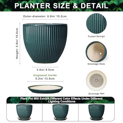 Ceramic Flower Pots, 6 Inch Planters with Drainage Hole and Saucer, Decorative Round Plant Pots for Indoor Plants, Modern Succulent Pot, Office Bedroom Decor, Plant Lover Gifts, Blackish Green - size: 6 Inch, style: Blackish Green