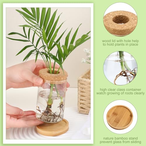 Layhit 4 Pcs Plants Propagation Stations vases Glass Planters with Wooden Lid and Bamboo Stand for Hydroponic Plants Gardening Gifts for Women Mom Home Office Tabletop Decoration(Stylish Style) - style: Stylish Style