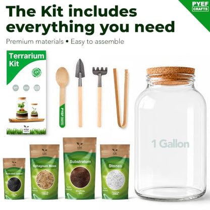 Terrarium Kit for Plants DIY (1 Gallon) | Starter Pack – Closed Ecosystem – 1 Gal Glass – Succulents, Air Plants, Bonsai, Indoor Plants – (Plants Not Included) - size: 1 Gallon
