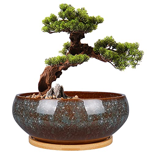 8 Inch Ceramic Bonsai Planter Pot, Glazed Shallow Succulent Planter with Drainage Hole and Bamboo Saucer for Indoor Plants, Brown - color: Brown, size: 8 Inch
