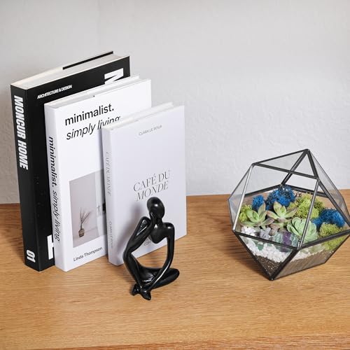 Creations by Nathalie DIY Geometric Glass Terrarium Kit with Moss & Tools | DIY geometric glass terrarium kit with moss, tools, and supplies for creating an indoor terrarium display with your plants. - color: 7” Geometric Dodecahedron
