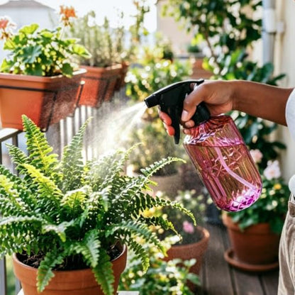 Glass Plant Mister 13.5 oz Fine Mist Plant Spray Bottle Amaranth | Adjustable Mist Nozzle PET Nozzle+Thickened Glass Bottle Gardening and Pet Cleaning, Water Misters Gifts for Plant Lovers - color: C-red