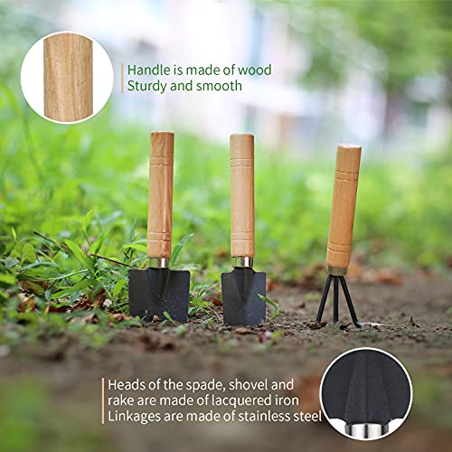 11Pcs Succulent Tools, Mini Garden Tools, Plant Repotting Set(No Flowerpot) | Succulent Watering Tool as Plant Accessories,Small Gardening Hand Tools Kit for Indoor Seedling Soil,Caring Houseplant - style: Abundant Garden Tools