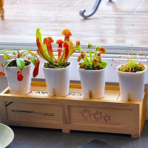 3" Self Watering Pots,20 Sets Self Watering Planter Pots for Indoor Plants with Water Level Indicator and Multiple Vents,Self Watering Planters,Self Watering Plant Pot for House Plants,Flowers,Herbs - size: 3 Inch - 20 Sets