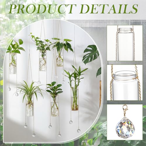 Hushee 6 Pcs Hanging Propagation Stations with Crystal Suncatcher Glass Hanging Wall Planters Indoor Plants Hydroponic Tubes for Plants Flowers Windows Home Decoration