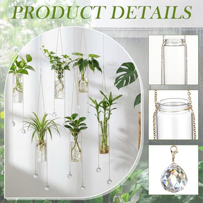 Hushee 6 Pcs Hanging Propagation Stations with Crystal Suncatcher Glass Hanging Wall Planters Indoor Plants Hydroponic Tubes for Plants Flowers Windows Home Decoration