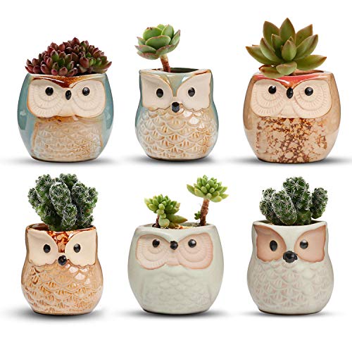 T4U Owl Succulent Pots, Mini Ceramic Gift Planter Set with Drainage, 6 Pack | Cute owl design containers, for live cactus plants, bonsai starter pots, indoor garden home decor, office desk decoration - color: Owl, size: Pack of 6