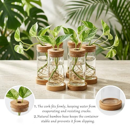 16 Pcs Propagation Vases with Bamboo Stand and Hole Lid, Glass Plant Propagation for Plants Water Hydroponic Desktop Office Home Vase Decoration(Classic Style)