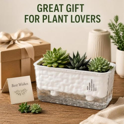 Rectangular Planter, Rectangle Planter, 2 Pack Self Watering Planter Boxes, Clear Plastic Window Boxes for Indoor Outdoor Herbs, Succulents, Flowers, Home Garden Windowsill Decor