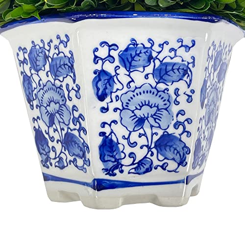 Galt International 9.5" Naturally Preserved Real Boxwood Ball in Hand-Painted Blue & White China Pot Planter Green Indoor Plant Home Decor (9.5" Tall Topiary) - size: Medium 9.5" Hexagon Pot