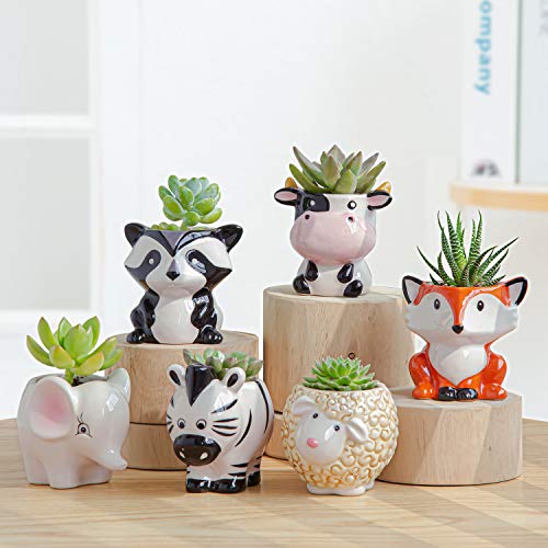 Cute Succulent Planter, Succulent Pots with Drainage Hole Flower Plant Pot | Cartoon Ceramic Tiny Pot for Indoor Mini Flower Planters Cactus Container Set of 6 - color: Elephant/Panda/Fox/Cow/Sheep/Zebra