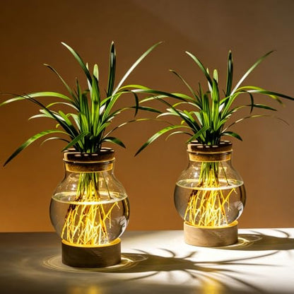 Propagation Stations, Plant Propagation Station with Light Base, Glass Propagation Vases, Hydroponic Vase for Plants, Glass Terrarium for Home Office Windowsill Tabletop Decoration (2)