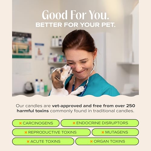 You Got This! Pet-Friendly Scented Candle – Tropical Nectar & Fruits Fragrance - Coconut Soy Wax Candle with Wooden Wick, Approx. 50-Hour Burn Time, Made in USA, 11.8 oz - color: You Got This!