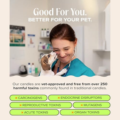 You Got This! Pet-Friendly Scented Candle – Tropical Nectar & Fruits Fragrance - Coconut Soy Wax Candle with Wooden Wick, Approx. 50-Hour Burn Time, Made in USA, 11.8 oz - color: You Got This!