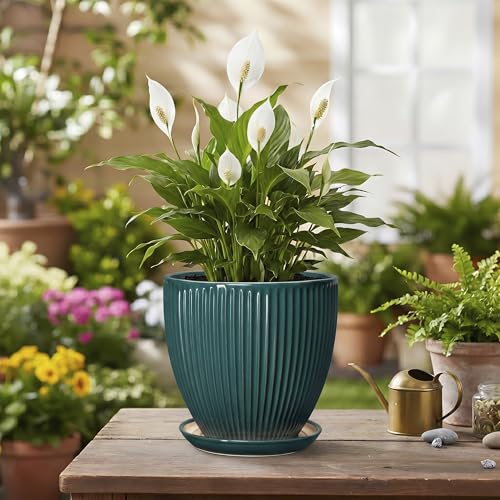 Ceramic Flower Pots, 6 Inch Planters with Drainage Hole and Saucer, Decorative Round Plant Pots for Indoor Plants, Modern Succulent Pot, Office Bedroom Decor, Plant Lover Gifts, Blackish Green - size: 6 Inch, style: Blackish Green