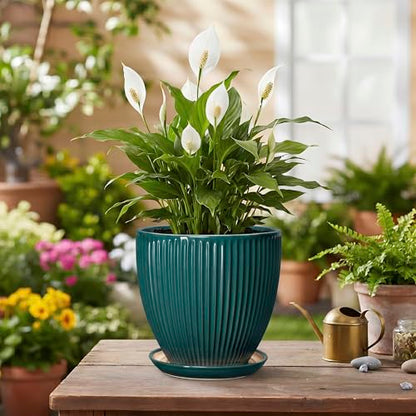 Ceramic Flower Pots, 6 Inch Planters with Drainage Hole and Saucer, Decorative Round Plant Pots for Indoor Plants, Modern Succulent Pot, Office Bedroom Decor, Plant Lover Gifts, Blackish Green - size: 6 Inch, style: Blackish Green