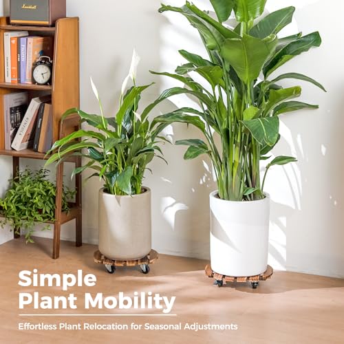 Bamworld Plant Stand with Wheels Plant Caddy Outdoor 4 Pack 12in Rolling Planter Caddy with Swiveling and Lockable Caster for Indoor Patio Plant Dolly Wood Wheeled Mobile Roller - size: 12inch-Round-4 pack