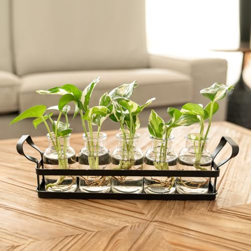 Mkono Propagation Stations, 5 Jars Desktop Glass Plant Terrarium with Stand | Flower Vase, Hydroponic Cuttings, Easy Water Refill,Clear Root View Planter,Farmhouse Home Office Decor, Gardening Lover Gift - size: Large