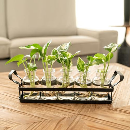 Mkono Propagation Stations, 5 Jars Desktop Glass Plant Terrarium with Stand | Flower Vase, Hydroponic Cuttings, Easy Water Refill,Clear Root View Planter,Farmhouse Home Office Decor, Gardening Lover Gift - size: Large