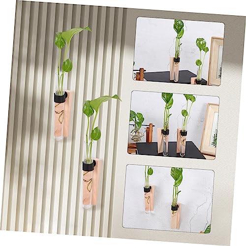 Happyyami Hanging Hydroponic Planter Set Air Plant Wall Holder Indoor Plant Vase Wall Mount Propagation Station